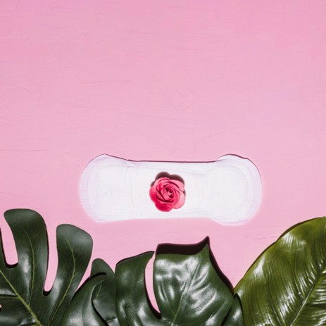 Safe, Soft, and Sustainable: Understanding Organic Daily Care Products