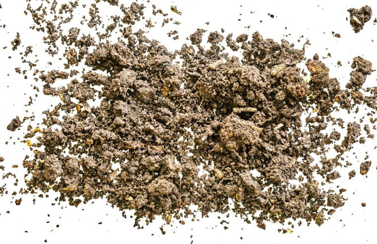 Understanding Hash Through Appearance, Aroma, Texture, and Composition