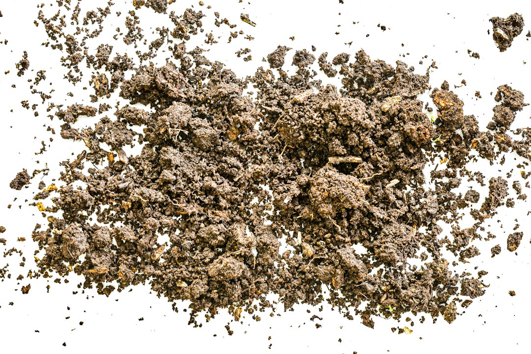 Understanding Hash Through Appearance, Aroma, Texture, and Composition